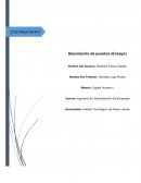 Descripción de puestos (Ensayo)