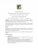 Ensayo de experiencia en el jardin