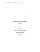 Medicina Alternativa - Holística