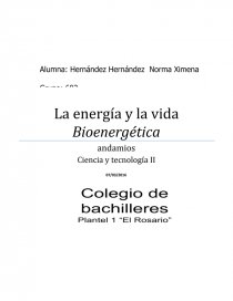 La energía y la vida Bioenergética. Página 1