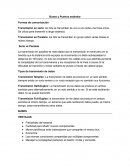 Buses y Puertos Estandar