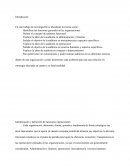 Síntesis sobre diferentes tipos de auditorias.