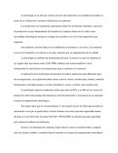 La metrologia ensayo