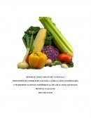 Alimentos oxigenantes