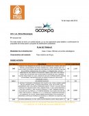 Plantilla cotizacion