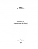 Ensayo talento humano.