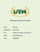 La violencia son análisis que se han hecho durante los estudios de las más comunes