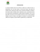 INDIGENAS DEL CAQUETÁ.