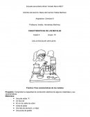 Tacticas de educacion fisica.