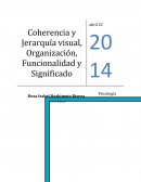 Coherencia y Jerarquía visual, Organización, Funcionalidad y Significado