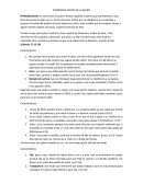 ENSEÑANZA ACERCA DE LA MUJER