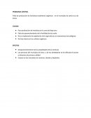 Servicio al cliente.