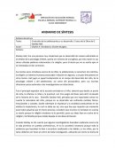 Andamio de reflexión del naturalismo