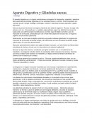 Aparato Digestivo y Glándulas anexas