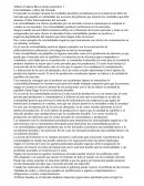 Externalidades y fallos del mercado