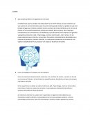 Que canales prefieren el segmento de mercado