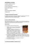 GEODINÀMICA EXTERNA.