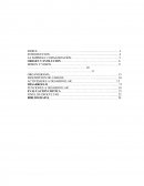 LA EMPRESA U ORGANIZACIÓN.