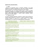 OBJETIVO DEL ANALISIS SOCIAL.