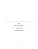 ANÁLISIS DE LA POLÍTICA DE DESARROLLO SUSTENTABLE DE LA REPUBLICA DE CHILE.EVALUACIÓN IMPACTO AMBIENTAL