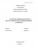Saturación, Permeabilidad Relativa, Tensión Superficial e Interfacial y Presión Capilar.