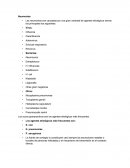 Neumonias. Las neumonías son causadas por una gran variedad de agentes etiológicos