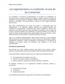 Organizaciones y su ambiente