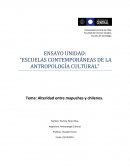 Alteridad entre mapuches y chilenos