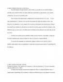 CARACTERIZACION DE LA ESCUELA.