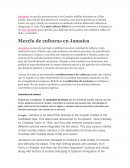 Jamaica. Mezcla de culturas en Jamaica