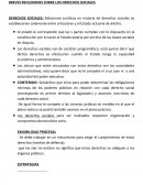 BREVES REFLEXIONES SOBRE LOS DERECHOS SOCIALES.
