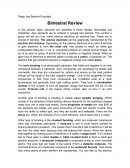 Diego Joel Becerra González