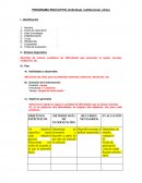 PROGRAMA EDUCATIVO (individual, institucional, otros)