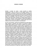 ENSAYO APRENDER A APRENDER.