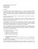 Sistemas acuáticos