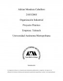 Presentación pasteurizacion.