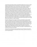 Ensayo: Ecologia