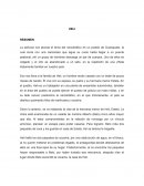 RESUMEN Y ANALISIS DE LA PELICULA "HELI"