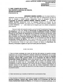 JUICIO: ESPECIAL SOBRE DIVORCIO INCAUSADO. Página 1