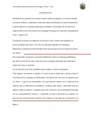 Investigación de mercado, las nuevas estrategias que tiene el Tour flor