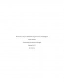 Propuesta de Mejora del Modelo Organizacional de la Empresa, Gestión dela Prevención de Riesgos