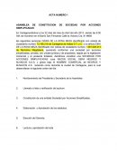 Estatutos Negros y Blanco SAS