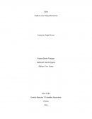 Análisis caso Wang laboratories