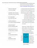 ESQUEMA GRAFICO MIS MATERIAS.