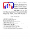 Circulación Mayor o Sistémica