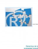 Ensayo de la propiedad industrial