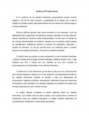 Auditor y El Fraude Fiscal