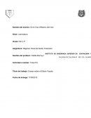 Ensayo sobre el Efecto Tequila