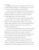 PRELIMINARES . CIMENTACIÓN