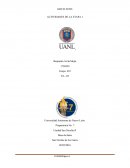 Procedimientos en Access